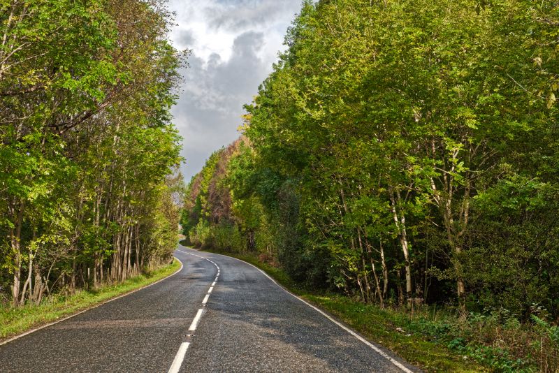 Road with Fresh Chip Seal